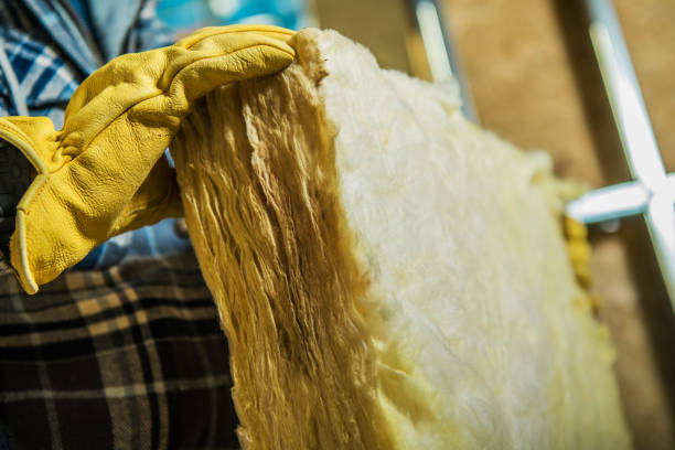 Best Fiberglass Insulation  in Elephant Butte, NM