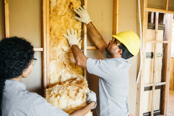 Best Professional Insulation Contractor  in Elephant Butte, NM