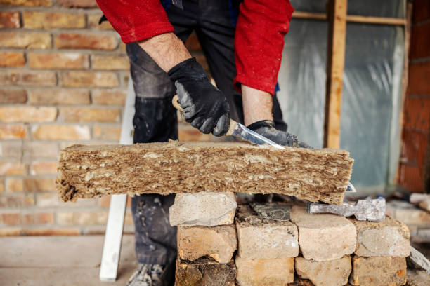 Best Insulation Repair Services  in Elephant Butte, NM